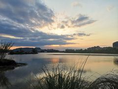 -重庆彩云湖湿地公园