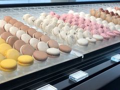 -BLACKSWAN黑天鹅(环球店)