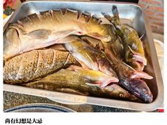 -老渔翁炖鱼坊(黄海西路东山店)