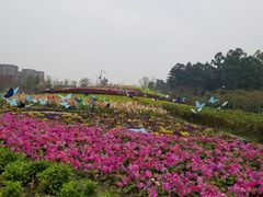 -天府芙蓉园