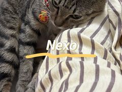 -瑞派动物医院·猫专科·至诚(江南中分院)