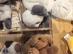 -九木杂物社(凯德西直门店)