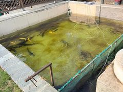 -钰田大院•怀柔本土菜(雁栖湖店)