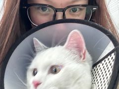 -爱牧宠物医院·猫专科·骨科·内窥镜(甪直店)