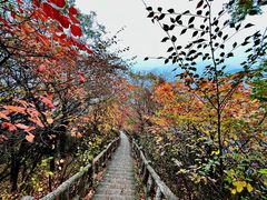 -秦岭终南山世界地质公园翠华山景区