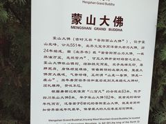 -蒙山大佛景区