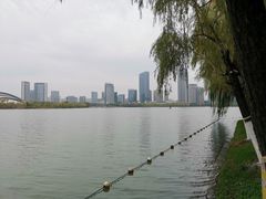 -天鹅湖体育公园