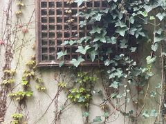 -胶囊画廊
