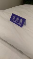 -贞禾医美·连锁