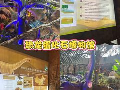 -中国西峡恐龙遗迹园
