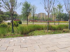 -济宁运河核心景区