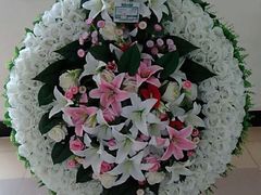 -北京市东郊殡仪馆