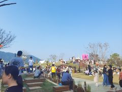 -苏州太湖西山岛开心农场
