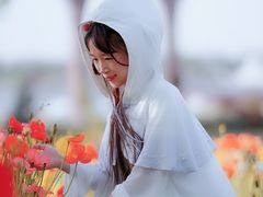 -鹅湖玫瑰文化园