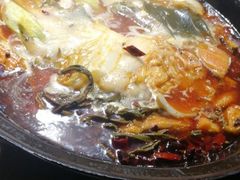 -肥鱼屯活鱼锅(惠工街店)