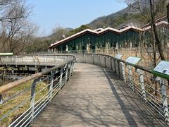 -西湖风景区-江洋畈生态公园