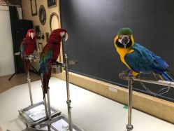 -酷嗒动物文化乐园(cutezoo西溪乐天城店)