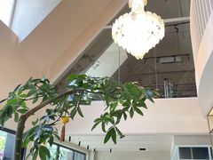 -花神·轻食简餐·咖啡馆·花卉绿植(荷兰花卉小镇店)