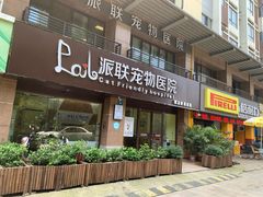 -派联宠物医院·24h·CT·异宠