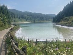 -武陵山森林公园