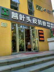 -菩叶头皮抗衰养发护发