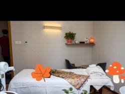 点击看大图 -芳香乐府SPA·五行芳疗