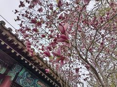 -潭柘寺景区