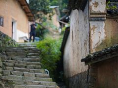-杨家堂村