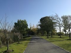 -梁鸿国家湿地公园