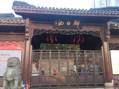 -上海醉白池公园