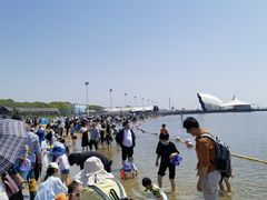 -碧海金沙