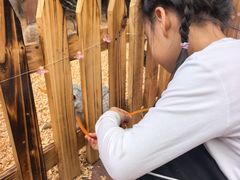 -长鹿旅游休博园
