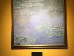 -印象莫奈时光映迹艺术展