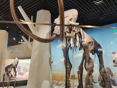 -国家自然博物馆