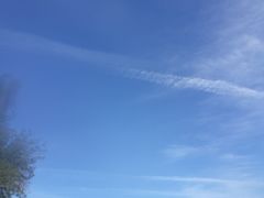 -东姑阿都拉曼海洋公园