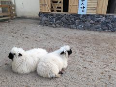 -HERRE·FARM 赫尔露营农场·团建聚会包场