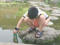 -南山植物园