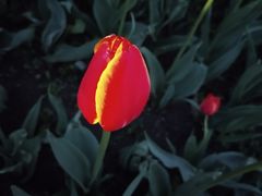 -长春公园(普阳街道)