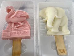 -宁波野生动物园