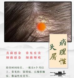 -Bollins波林丝•专研护发中心