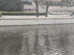 -元大都城垣遗址公园