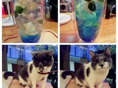 蓝色多瑙河和灰色小肥猫-MIKAKU(万达广场上海宝山店)