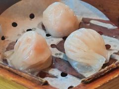 -新天世纪中餐厅