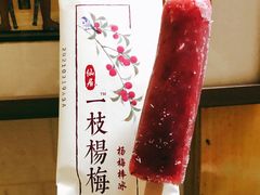 光明一枝杨梅-盒马鲜生(金桥国际广场店)