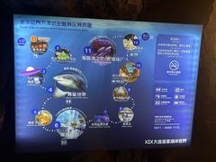 -大连圣亚海洋世界
