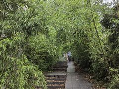 -南山植物园