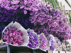 -L.C FLORA花予你(城西银泰城店)