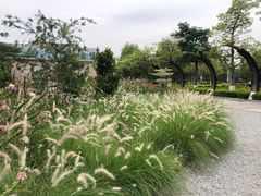 -映月湖公园