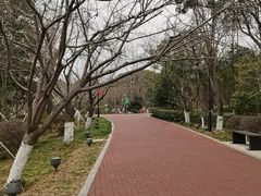 -金鸡湖桃花岛