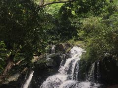 -呀诺达热带雨林